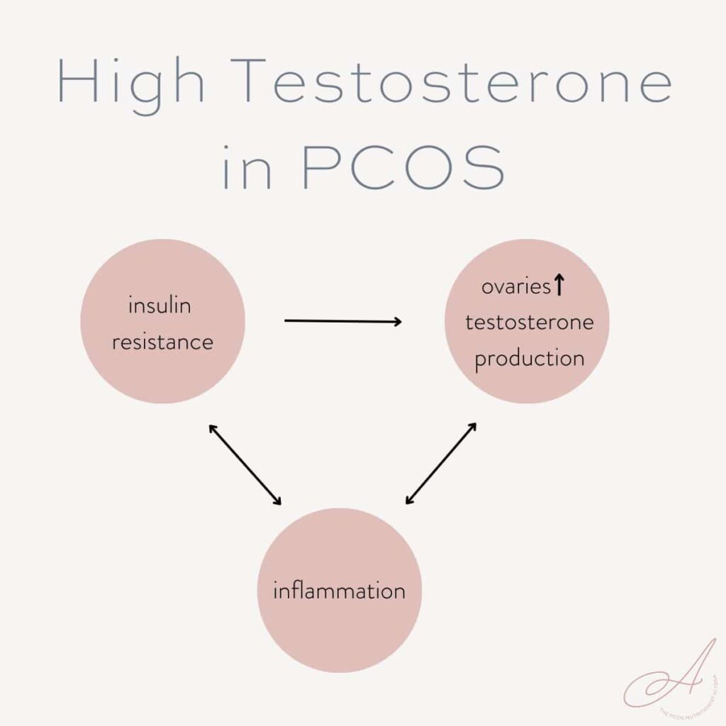 infographic showing the relationship between insulin resistance, inflammation, and high testosterone levels.