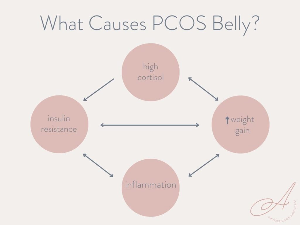 infographic showing the causes of PCOS belly and how they're related.