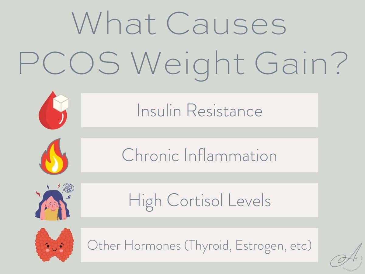 How To Lose Weight With PCOS 10 Tips From A Dietitian The PCOS