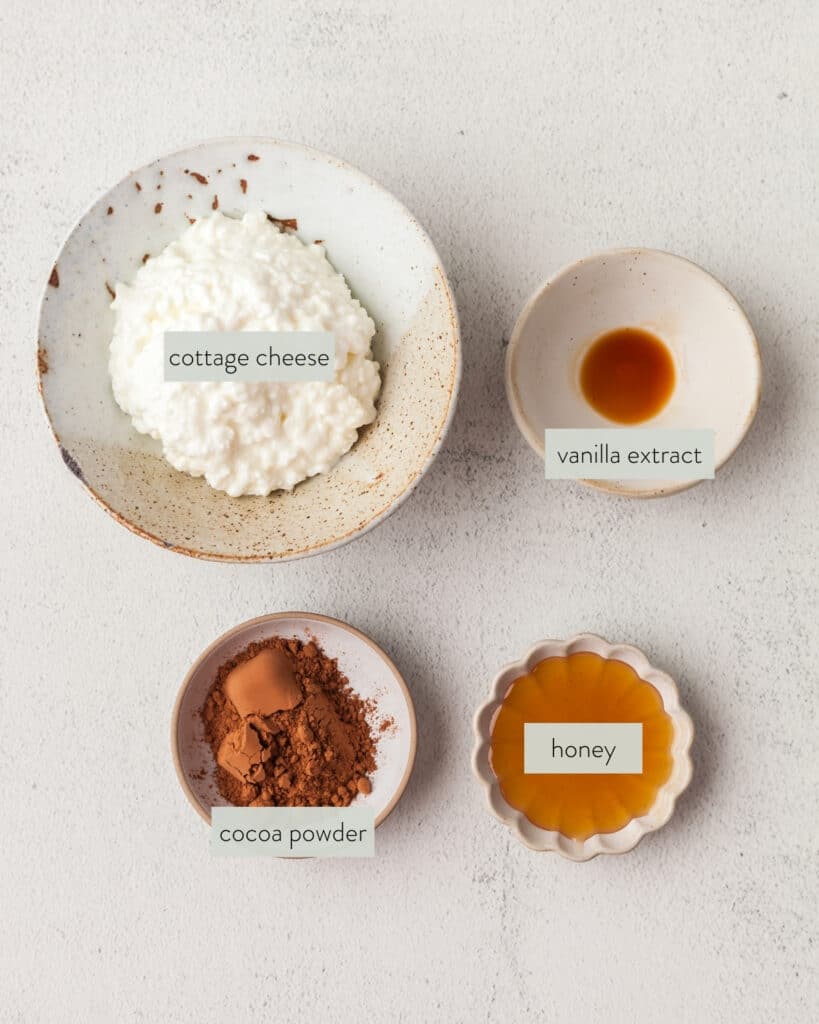 ingredients needed to make cottage cheese chocolate pudding.