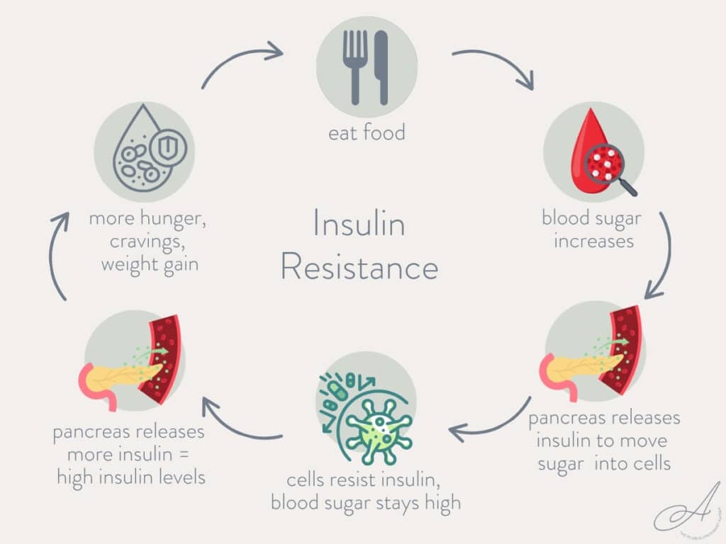 infographic showing how food impacts insulin resistance.