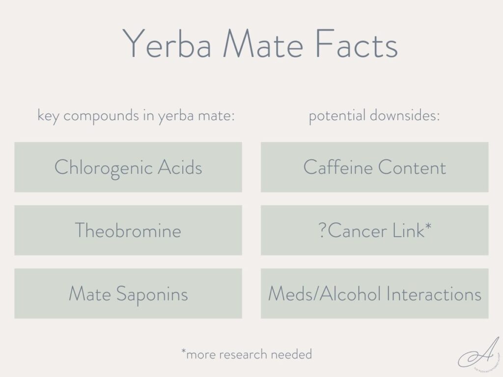 infographic with some facts about yerba mate and potential downsides.