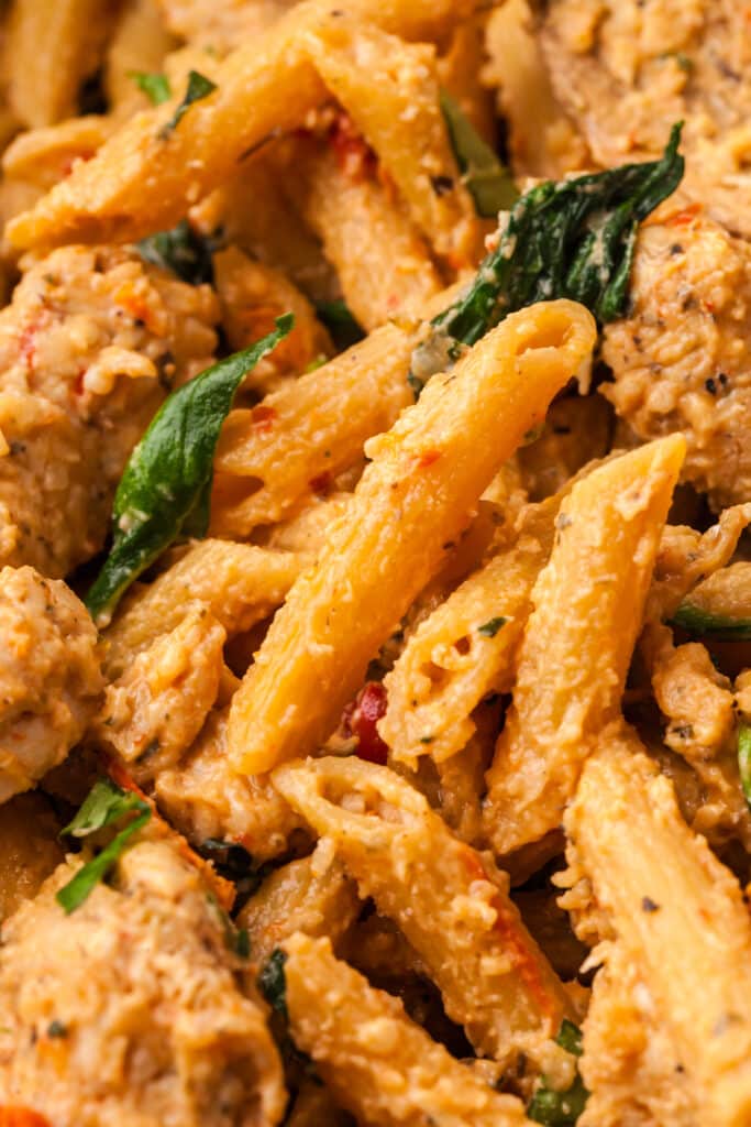 closeup shot of pasta in a creamy sun-dried tomato sauce.