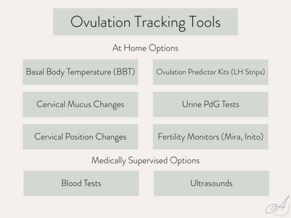 PCOS and Ovulation Tests: The Best Way To Use Them - The PCOS ...