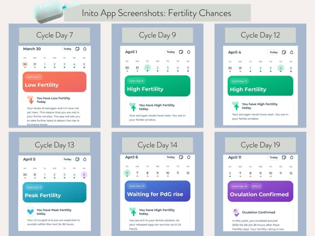 screenshots of inito charts and insights.