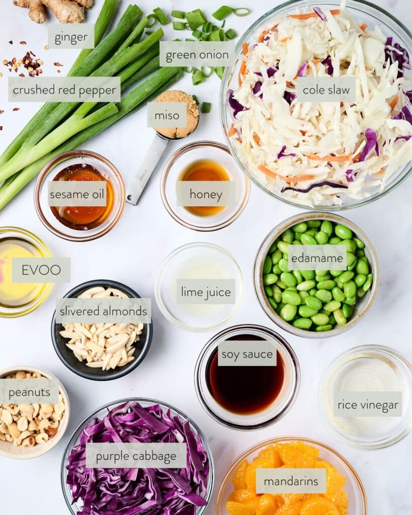 ingredients needed to make crunchy asian salad recipe.